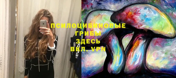 марки lsd Алексеевка