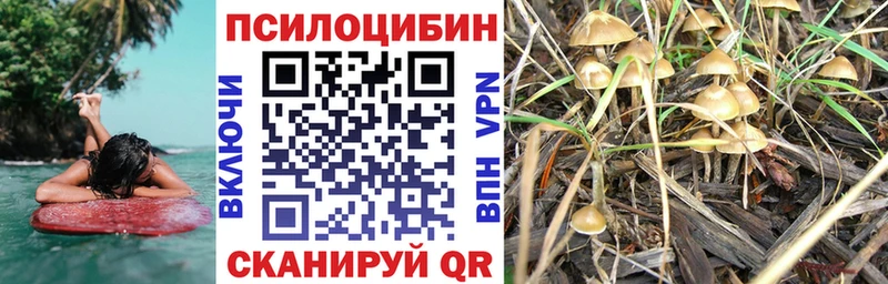 Галлюциногенные грибы Psilocybine cubensis  наркота  это какой сайт  Оханск 
